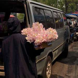 Chinese护士丝榨精
